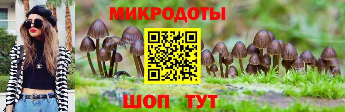 Псилоцибиновые грибы Psilocybine cubensis  Галлюциногенные грибы ЛСД  Вход с VPN  Ростов-на-Дону 